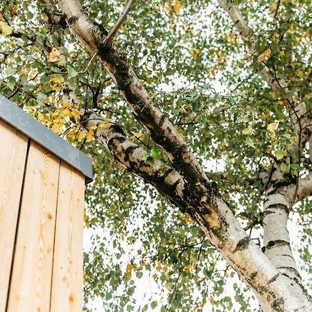 Carmen Eco-Pod / Treehouse, Close To Cabot Circus Bristol Exterior photo